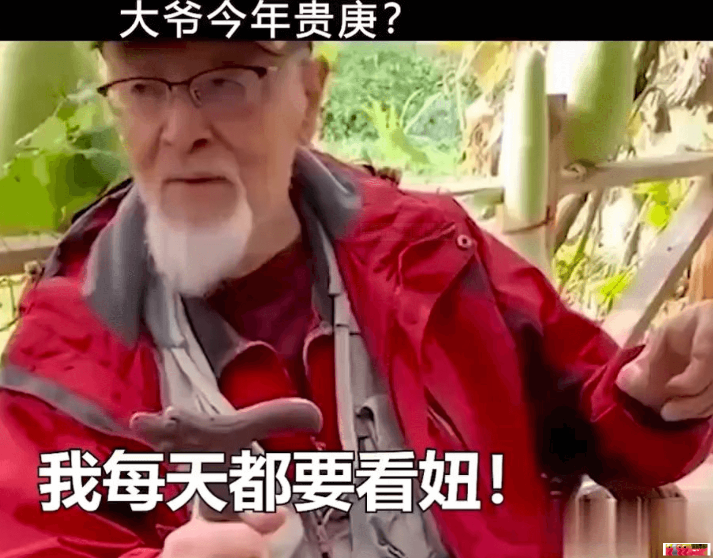 大爷.png
